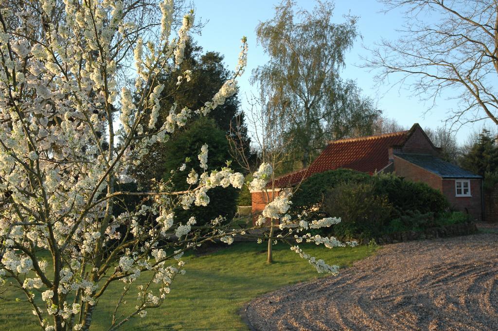 Field Cottage Bed And Continental Breakfast East Harling Camera foto